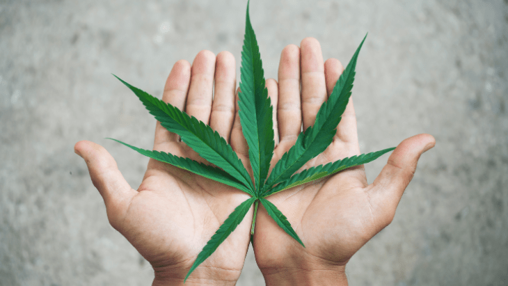 6630507 United States department of health and human services